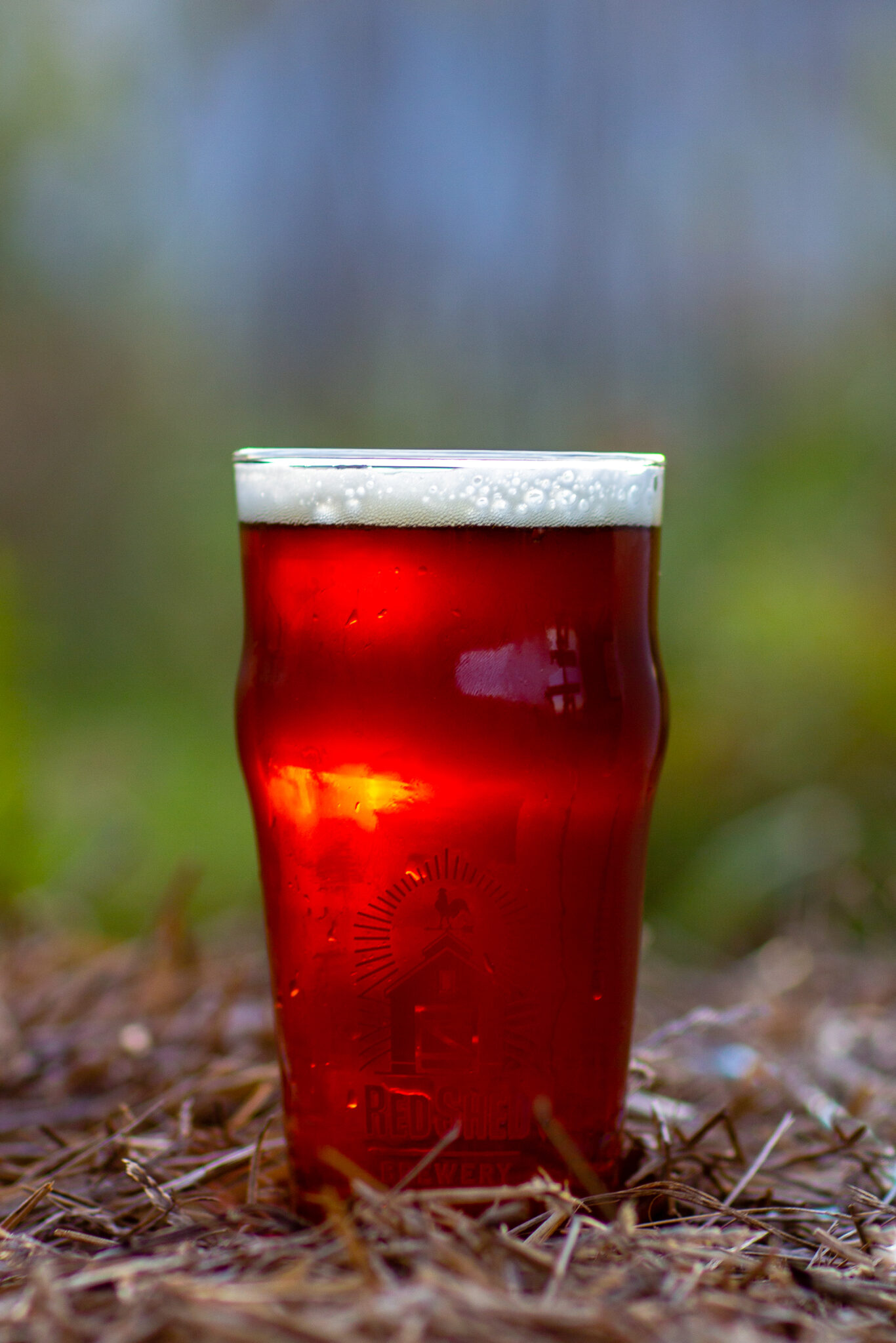 Introduction to: The Red Ale - Red Shed Brewing